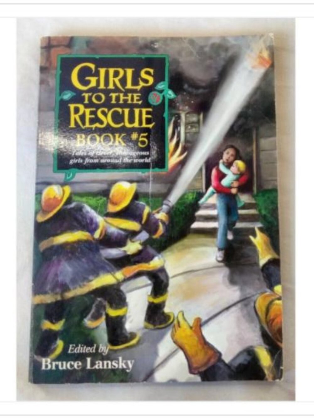 Girls To The Rescue Book #5 Tales Of Courageous Girls 98 PB